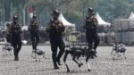 Satu Unit Robot Anjing Polri Dibandrol Rp 3 Miliar