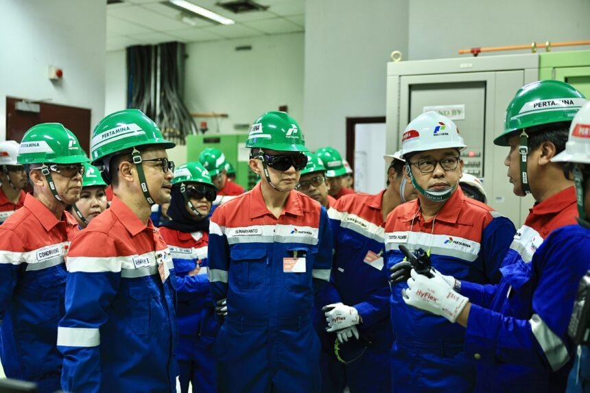 Dewan Komisaris Pertamina Tinjau Lapangan Migas PHSS, Dorong Peningkatan Kinerja (Dok. Istimewa)