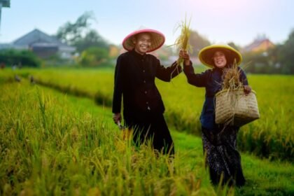 Jasindo Buktikan Perlindungan Nyata bagi Ribuan Petani,