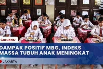 Program Makan Bergizi Gratis Terbukti Efektif, IMT Anak Meningkat di Berbagai Daerah