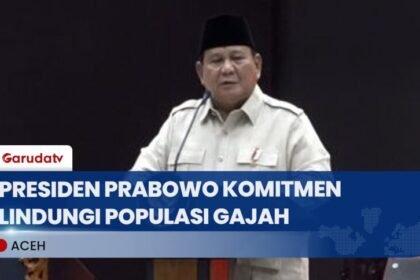 Presiden Prabowo Berikan 90 Ribu Ha Lahan Miliknya Untuk Kawasan Perlindungan Gajah