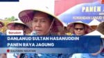 Danlanud Sultan Hasanuddin Gandeng Petani Maros Wujudkan Ketahanan Pangan Lewat Panen Raya Jagung
