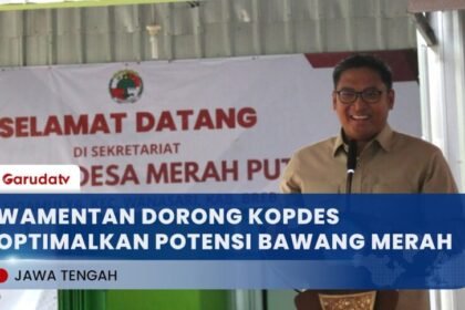 Wamentan Minta Kopdes Merah Putih Optimalkan Potensi Bawang Merah Brebes untuk Ekspor