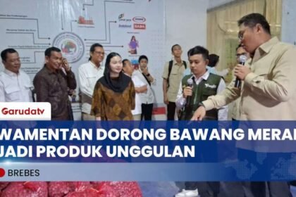Wamentan Sudaryono Dorong Koperasi Merah Putih Di Brebes Optimalkan Bawang Merah