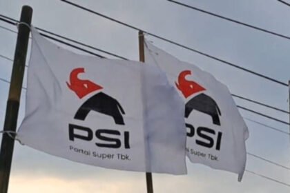 Gajah Kepala Merah Jadi Simbol Baru, Ini Kata PSI