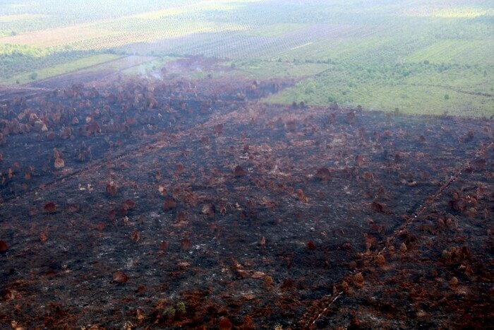 Operasi Modifikasi Cuaca Efektif Basahi Wilayah Rawan Karhutla di Jambi