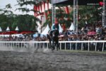 King Argentin mencatat sejarah sebagai kuda ketiga di Indonesia yang meraih gelar Triple Crown usai menjuarai IHR 2025 di Bantul.