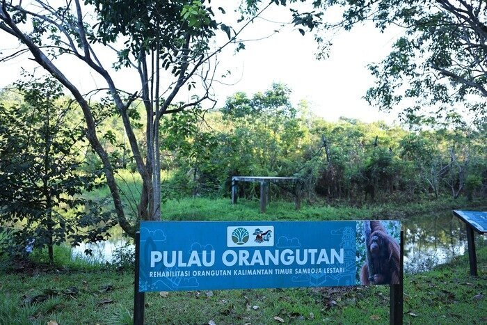 Pertamina Group Kembangkan Pusat Rehabilitasi Orang Utan di Kalimantan Timur