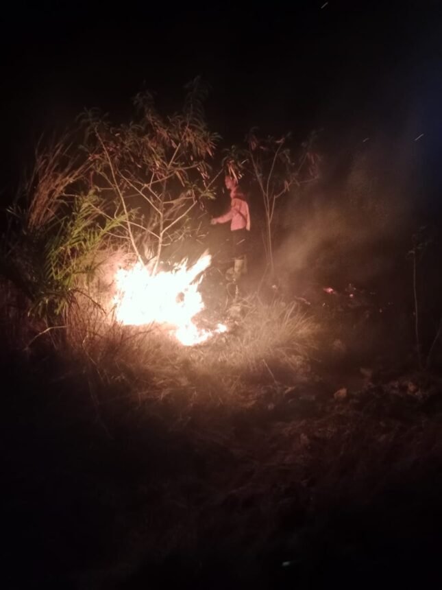 BNPB Catat Tiga Bencana dalam 24 Jam, Kebakaran Hutan hingga Puting Beliung Hantam Sumatera