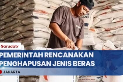 Klasifikasi Beras Akan Diubah Jadi Satu Jenis, Diputuskan Setelah Rapat Terbatas