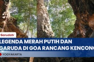 Goa Rancang Jadi Tempat Persembunyian dan Perencanaan Jaman Penjajahan
