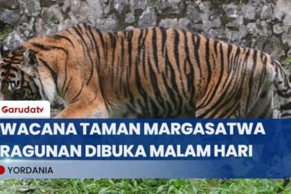 Gubernur Jakarta Ingin Taman Margasatwa Ragunan dibuka Hingga Malam Hari