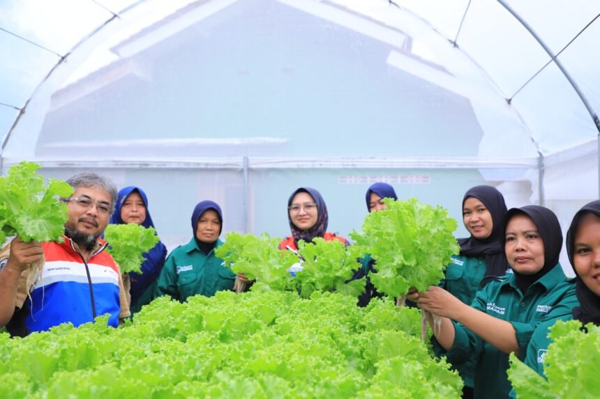 Pertamina Dukung Ketahanan Pangan dan Energi Bersih untuk 25 Hektar Lahan Warga