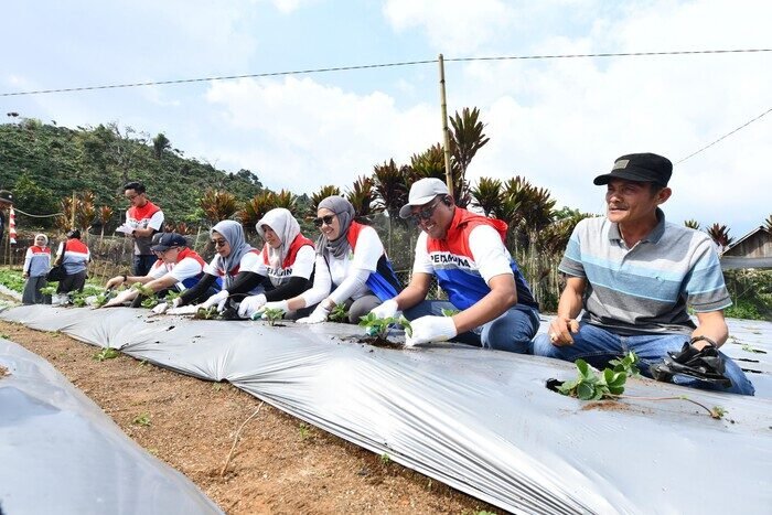 Pertamina Resmikan Desa Energi Berdikari di Sumatera Selatan 2 Pertamina Resmikan Desa Energi Berdikari di Sumatera Selatan