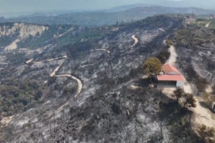 Kebakaran hutan besar melanda Patras, Yunani, di tengah gelombang panas ekstrem Eropa Selatan, memaksa ribuan warga mengungsi dan menghancurkan ribuan hektare lahan.
