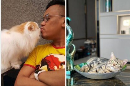 Uya Kuya ikhlas rumahnya dijarah massa, namun sedih karena kucing peliharaannya ikut diambil.