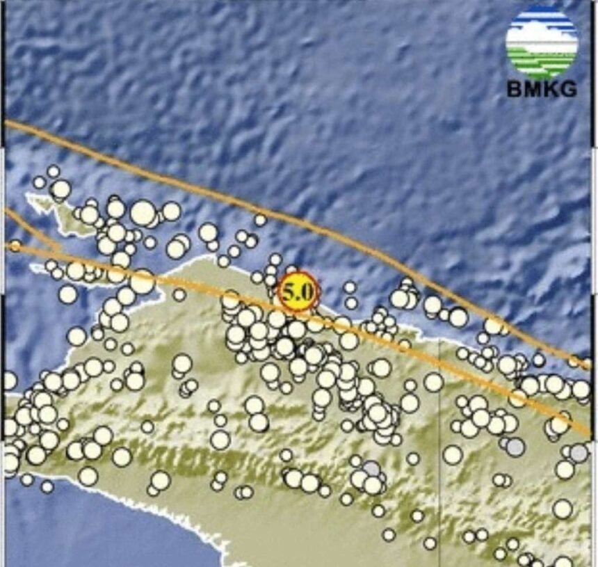 Gempa Magnitudo 5,0 Guncang Baratlaut Sarmi Papua, BMKG: Tidak Berpotensi Tsunami