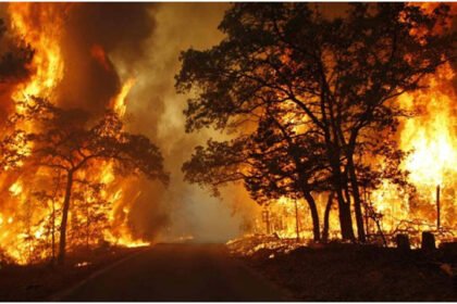 Bencana Karhutla dan Kekeringan Melanda Indonesia di Awal September 2025