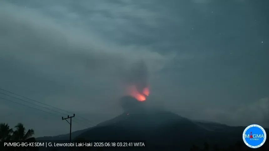 Erupsi Beruntun Gunung Lewotobi Laki-Laki, 8 Kali Letusan Sejak Dini Hari