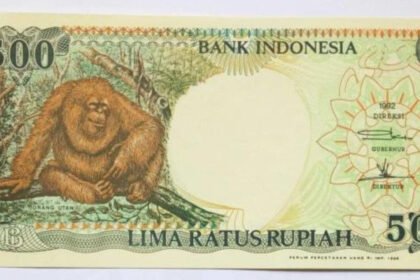 uang rupiah