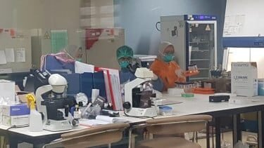 Hasil Uji Lab: Makanan MBG di Jawa Barat Positif Bakteri Berbahaya