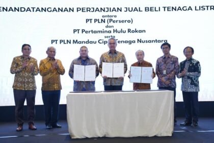 PLN