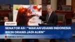 John Kennedy Sindir Udang Impor RI, Disebut Bisa Bikin ‘Tumbuh Telinga Tambahan’ Karena Tercemar