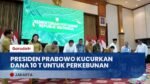 Presiden Prabowo Gelontorkan Rp10 Triliun untuk Hilirisasi Perkebunan