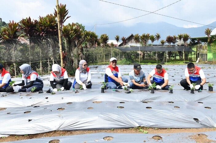 Pertamina Berdayakan Desa Rantau Dedap: Dari Energi Bersih hingga Wisata Edukasi 2 Pertamina Berdayakan Desa Rantau Dedap: Dari Energi Bersih hingga Wisata Edukasi