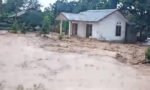 BNPB dan BPBD terus bergerak cepat menangani dampak banjir bandang di Kabupaten Nagekeo, NTT, termasuk perbaikan jalan dan distribusi bantuan logistik.