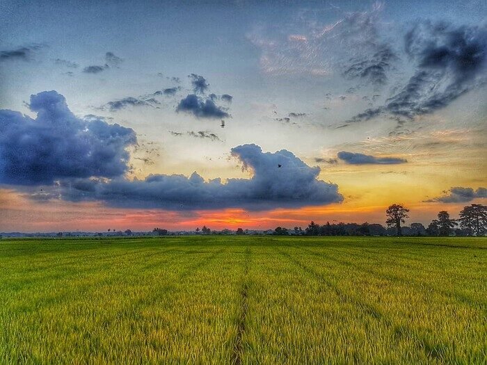 Menteri Pertanian, Andi Amran Sulaiman, menyalurkan bantuan pompanisasi untuk sawah yang terendam banjir di Pammanjengan Moncongloe, Maros.
