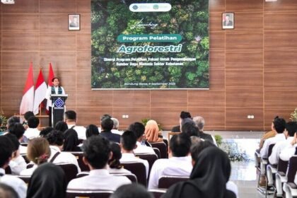 Agroforestri diyakini mampu menyerap tenaga kerja sekaligus menjaga keberlanjutan hutan Indonesia.