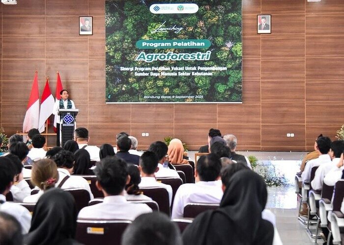 Agroforestri diyakini mampu menyerap tenaga kerja sekaligus menjaga keberlanjutan hutan Indonesia.
