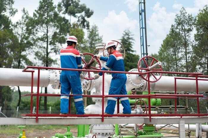 Pertamina NRE memperkuat transisi energi melalui EBT, efisiensi aset pembangkit, dan solusi komprehensif bagi industri rendah emisi.