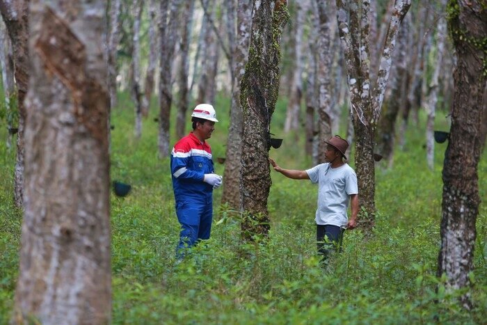 PGN konsisten mendukung pemberdayaan ekonomi lokal dan pelestarian lingkungan melalui berbagai program keberlanjutan.