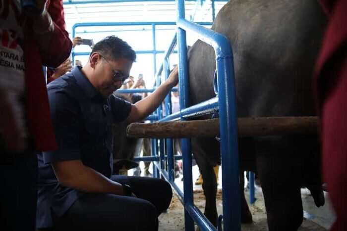 Wamentan Sudaryono Dorong Balai Ternak Siborongborong Jadi Mesin Ekonomi Baru Warga 2 Wamentan Sudaryono Dorong Balai Ternak Siborongborong Jadi Mesin Ekonomi Baru Warga