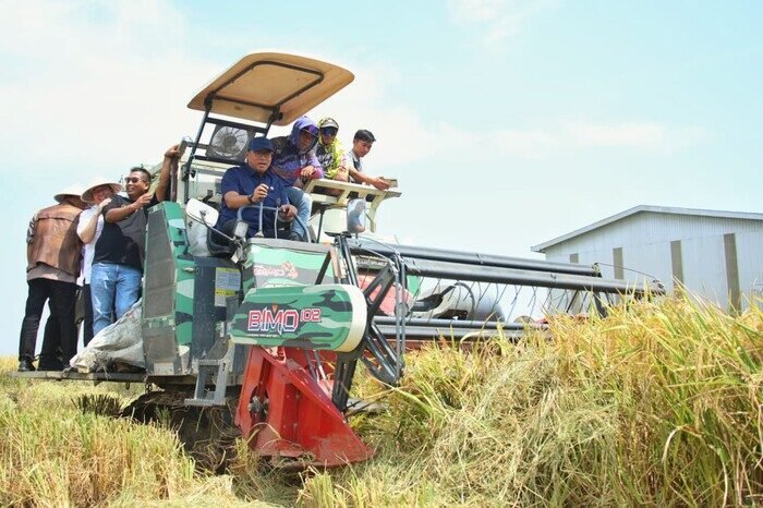Petani Indramayu Bongkar Fakta ke Sudaryono, Baru di Era Prabowo Panen Padi Dua Kali Setelah 35 Tahun Menanti