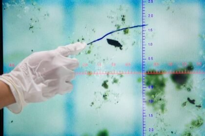 Air Hujan Jakarta Tercemar Mikroplastik, Seberapa Bahaya?