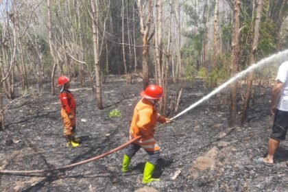 Banjir dan Karhutla Landa Sejumlah Wilayah, Ribuan Warga Terdampak