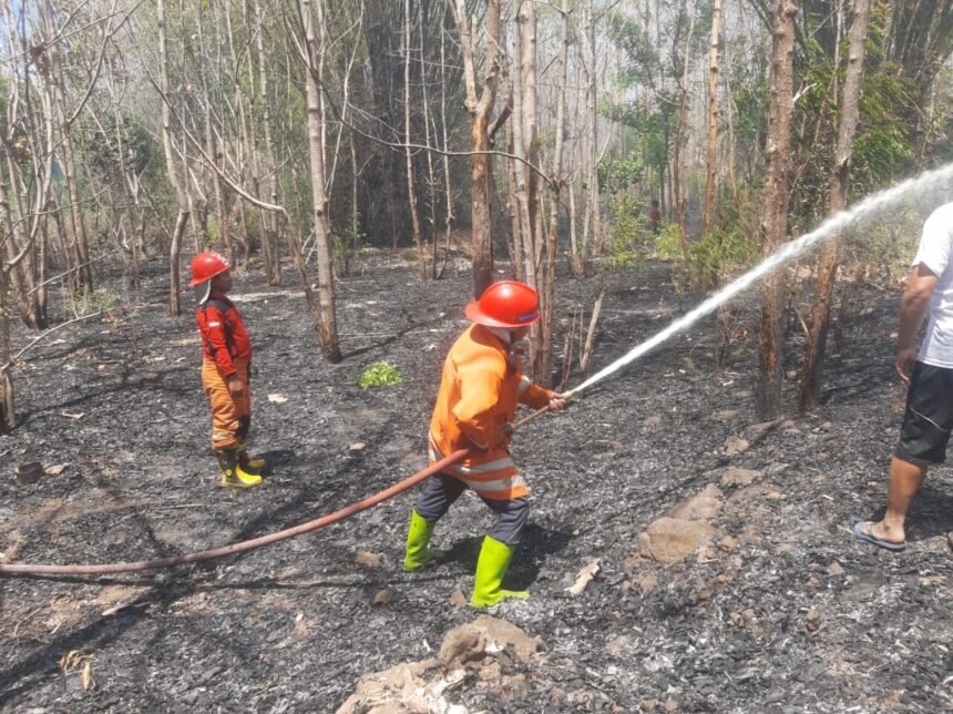 Banjir dan Karhutla Landa Sejumlah Wilayah, Ribuan Warga Terdampak