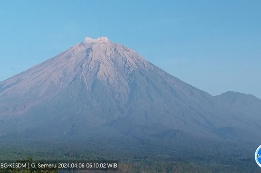 Erupsi Gunung Semeru Erupsi, Kolom Abu Mencapai 500 Meter
