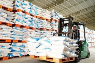 Harga Pupuk Turun 20 Persen Pertama dalam 65 Tahun, Pendapatan Petani Naik Rp113 Triliun 20 Harga Pupuk Turun 20 Persen Pertama dalam 65 Tahun, Pendapatan Petani Naik Rp113 Triliun