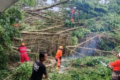 Hujan Deras Picu Banjir dan Longsor di Jawa Barat-Jawa Tengah, BNPB Perkuat Operasi Modifikasi Cuaca