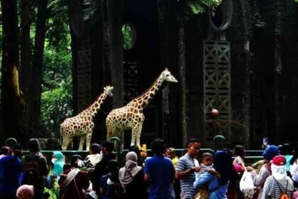Satpol PP Ingatkan Pengunjung Ragunan Jaga Etika saat Wisata Malam