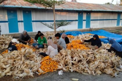 petani