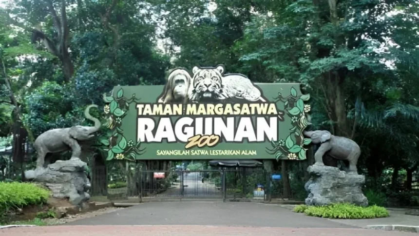 Wisata Malam Ragunan Dibuka, Warga Jakarta Antusias Cari Alternatif Segar