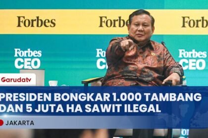 Presiden Prabowo Bongkar 1.000 Tambang dan 5 Juta Ha Sawit Ilegal