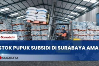 Dinas Pertanian Surabaya Rutin Sidak, Cegah Kios Nakal 25 Dinas Pertanian Surabaya Rutin Sidak, Cegah Kios Nakal