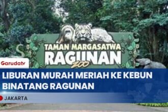 Tiket Murah Membuat Kebun Binatang Ragunan Tetap jadi Favorit Wisata 10 Tiket Murah Membuat Kebun Binatang Ragunan Tetap jadi Favorit Wisata