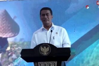 Pemerintah Siapkan 10 Ribu Hektare dan Beli Seluruh Panen Kedelai TNI AL 18 Pemerintah Siapkan 10 Ribu Hektare dan Beli Seluruh Panen Kedelai TNI AL